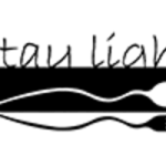 staylight-1